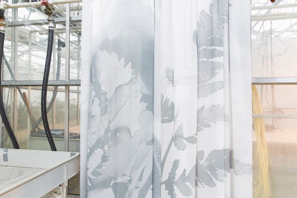 T&M/Workingbert wall curtain collection Ferns in grey on in between  foto Kurt de Wit