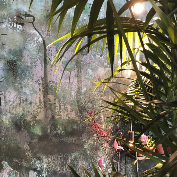 Plants shop, RW JR 01