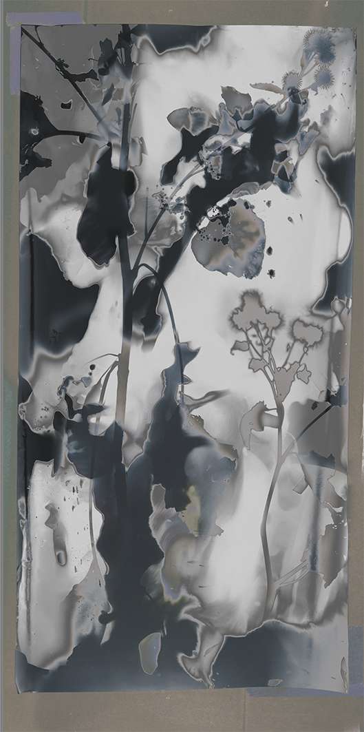 Photogrammed tablecloth nr 6