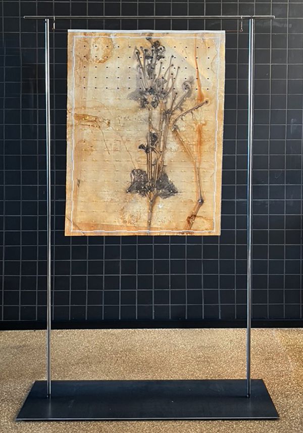 workingbert-wallhanging-nr-4-plant-print-on-rag-paper-gold-embroidery.-flock. 185 x 110 x23 cm plant print on rag paper, Tabula Rasa series